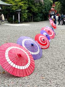 大宮氷川神社の和傘